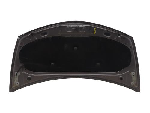 Used Hood Hood RENAULT CLIO III (BR0/1, CR0/1) 1.5 dCi (C/BR0G, C/BR1G) (68 hp) 27589050 27589050