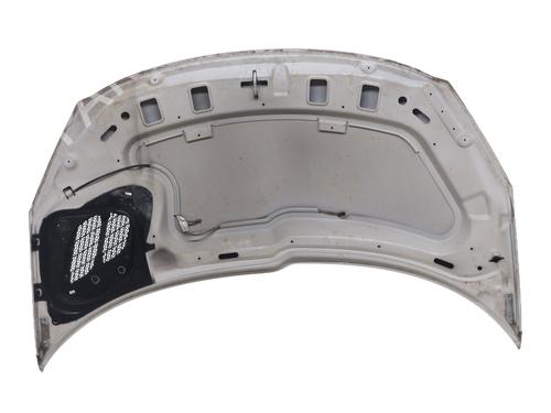 hood-peugeot-206-2l_-2m_-2009-2010-2011-2012-2013-33025812 main image