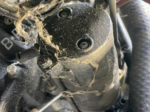 Used Starter LAND ROVER FREELANDER I Soft Top (L314) 2.0 DI 4x4 (98 hp) 25692201