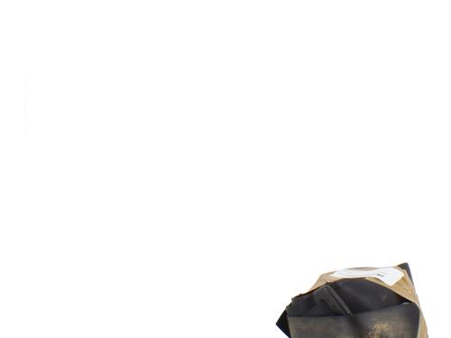 front-left-seatbelt-dacia-sandero-ii-2012-33682006 main image