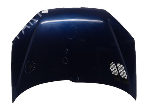 Used Hood PEUGEOT 206 Hatchback (2A/C) 2.0 HDI 90 (90 hp) 27520243