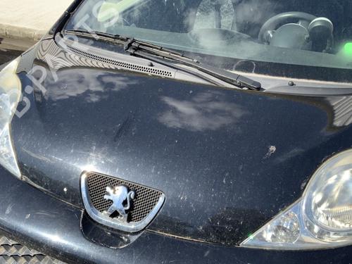 Panser Panser PEUGEOT 107 (PM_, PN_) 1.0 (68 hp) 34043933 34043933