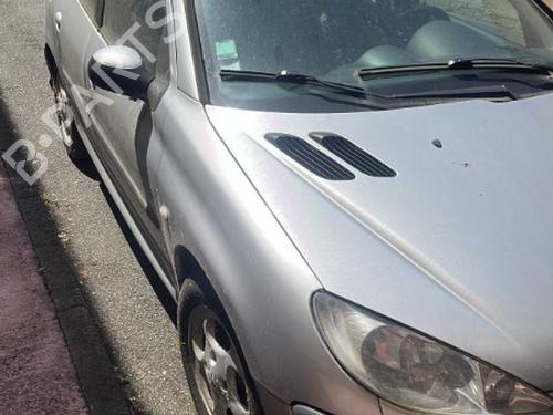 Left mirror PEUGEOT 206 Hatchback (2A/C) 2.0 HDI 90 | BP25697001C26 