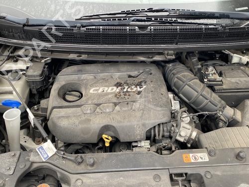 Sikkerhedssele-spænde KIA CARENS IV 1.7 CRDi | BP31921297I32 - Image 2