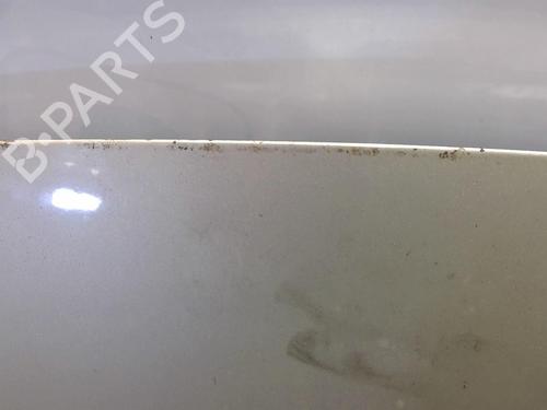Used Hood RENAULT GRAND SCÉNIC II (JM0/1_) 1.9 dCi (JM14) (131 hp) 25696261
