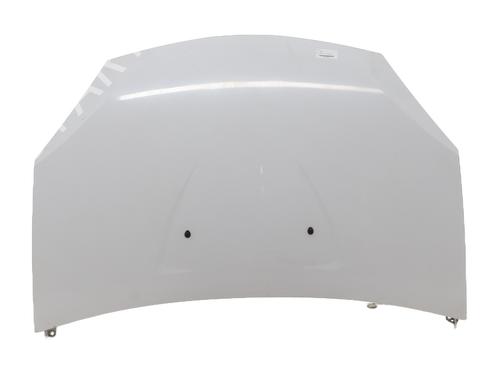 Capot DACIA SANDERO 1.4 (BS0C, BS0A, BS0G, BS1F, BS0E) | BP25672720C1