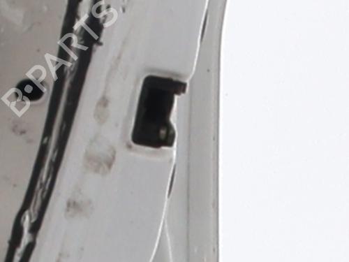 Right front door DACIA SANDERO 1.4 (BS0C, BS0A, BS0G, BS1F, BS0E) | BP25672713C3 