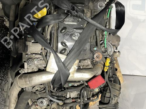 Engine RENAULT MEGANE II (BM0/1_, CM0/1_) 2.0 dCi (BM1K, CM1K) | BP25683106M1 