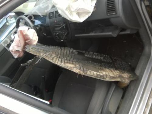 Used Parts VW POLO IV (9N_, 9A_) 1.4 TDI 2538180