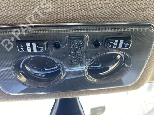 Used Interior roof light LANCIA DELTA III (844_) 1.6 D Multijet (844.AXC11, 844.AXC1A) (120 hp) 29257257