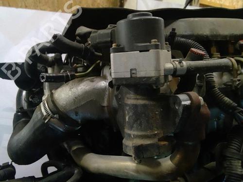 Engine NISSAN ALMERA TINO (V10) 2.2 dCi | BP25687108M1 