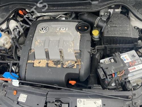 Engine VW POLO V (6R1, 6C1) 1.2 TDI | BP25675689M1 