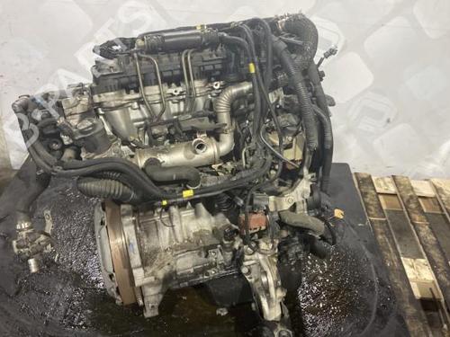 Used Engine Engine 38341978 38341978