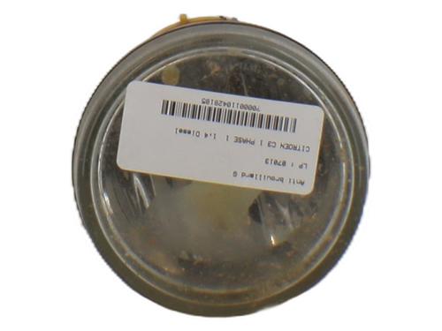 Used Left front fog light CITROËN C3 I (FC_, FN_) 1.4 HDi (68 hp) 27998527