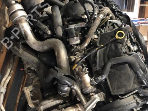 Engine LAND ROVER DISCOVERY III (L319) 2.7 TD 4x4 | BP39689969M1 - Image 5
