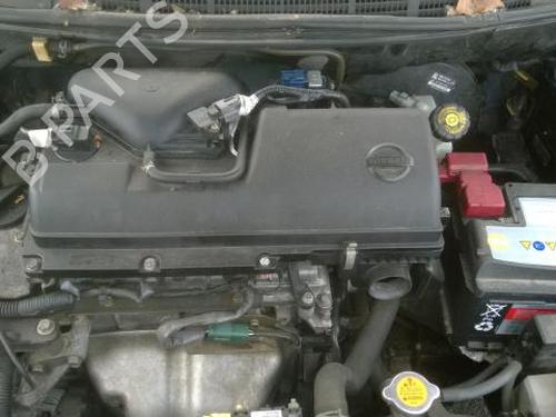 Third brake light NISSAN MICRA III (K12) 1.2 16V | BP25687846L11 