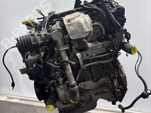 Used Engine Engine 36651604 36651604