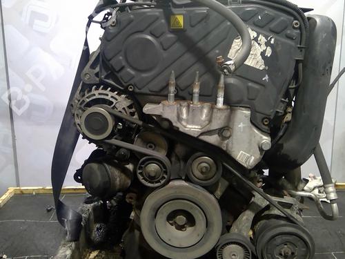 Engine SUZUKI SX4 (EY, GY) 1.9 DDiS (RW419D) | BP25696067M1  - Image 7