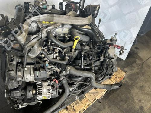 Motor FORD FOCUS I (DAW, DBW) 1.8 TDCi (115 hp) 25686462