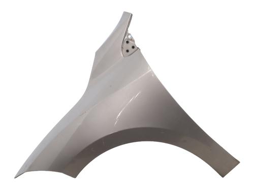 left-front-fenders-renault-megane-iii-hatchback-bz01_-b3_-2008-37527342 main image