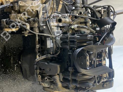 Used Engine Engine VW POLO (6N2) 1.4 (60 hp) 25697655 25697655