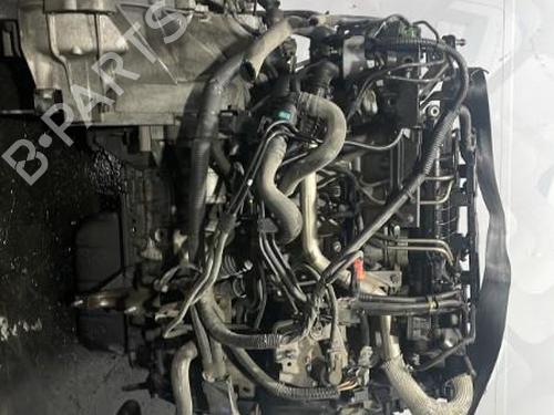 Engine FORD FIESTA VI (CB1, CCN) 1.6 TDCi | BP25683512M1 