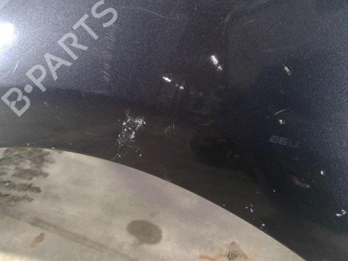 Left front fenders RENAULT SCÉNIC III (JZ0/1_) 1.5 dCi | BP29271778C41