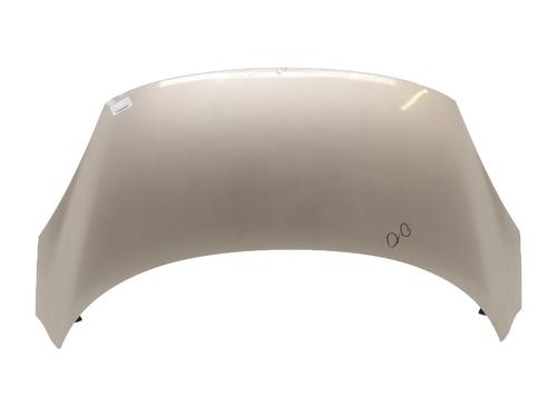 Used Hood RENAULT SCÉNIC III (JZ0/1_) 1.9 dCi (JZ0J, JZ1J, JZ1K, JZ1S) (131 hp) 25698413