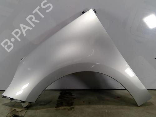 Used Left front fenders RENAULT SCÉNIC III (JZ0/1_) 1.9 dCi (JZ0J, JZ1J, JZ1K, JZ1S) (131 hp) 25678593