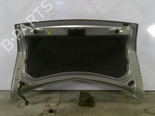 Tailgate RENAULT MEGANE II (BM0/1_, CM0/1_) 2.0 16V (BM0U, CM0U) | BP25688232C6 