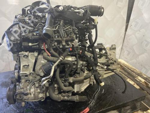 Engine RENAULT MEGANE III Hatchback (BZ0/1_, B3_) 1.5 dCi (BZ09, BZ0D, BZ1W, BZ29, BZ14) | BP25683507M1 