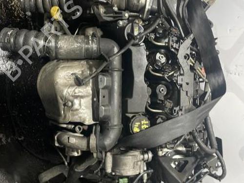 Engine FORD FIESTA VI (CB1, CCN) 1.6 TDCi | BP25683512M1 