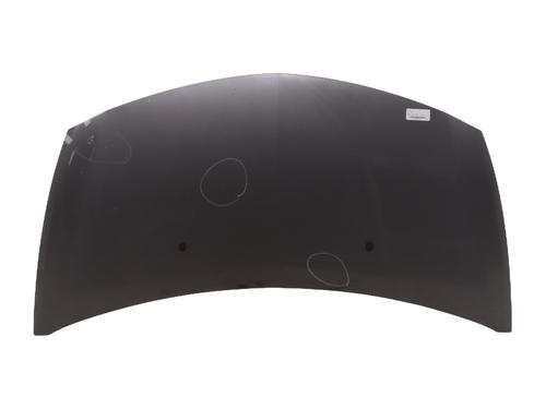 Used Hood RENAULT CLIO III (BR0/1, CR0/1) 1.5 dCi (C/BR0G, C/BR1G) (68 hp) 27589050