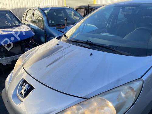 Used Hood PEUGEOT 207 (WA_, WC_) 1.6 HDi (90 hp) 30752670