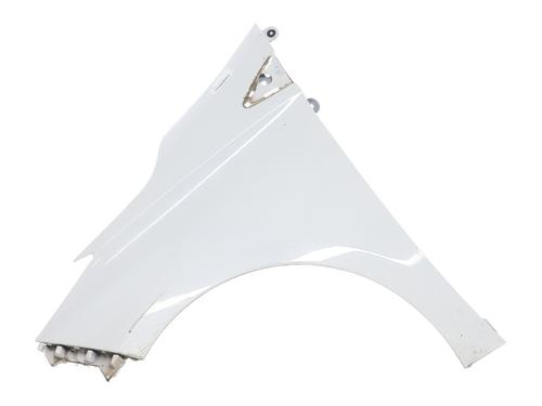 Forkjerm venstre RENAULT ZOE (BFM_) ZOE (92 hp) 32985263