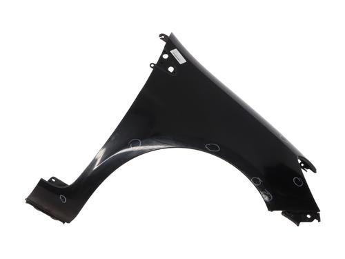 Right front fenders RENAULT CLIO III (BR0/1, CR0/1) 1.5 dCi (BR17, CR17) | BP25674048C42 