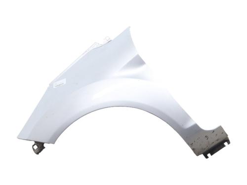 left-front-fenders-ford-fiesta-vi-cb1-ccn-2008-40127938 main image