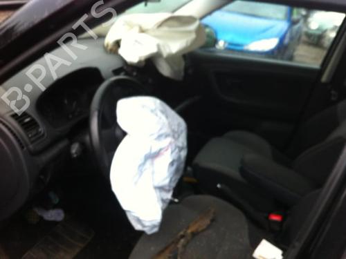 Radio SKODA FABIA II (542) 1.6 TDI | BP25699447E6 