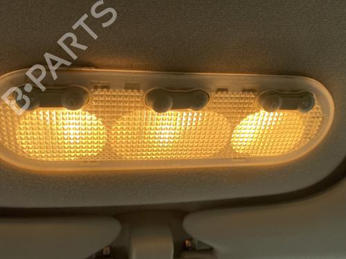 Used Interior roof light RENAULT MEGANE II (BM0/1_, CM0/1_) 1.6 16V (112 hp) 30725680