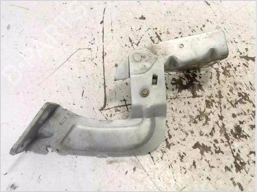 Hinge/Door check strap RENAULT KANGOO (KC0/1_) 1.5 dCi (KC08, KC09) | BP30005506C146