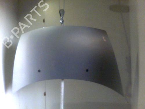 Used Hood CITROËN C3 I (FC_, FN_) 1.4 HDi (68 hp) 26082812