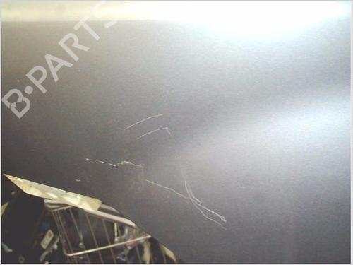 Left front fenders NISSAN X-TRAIL II (T31) 2.0 dCi 4x4 | BP31015909C41