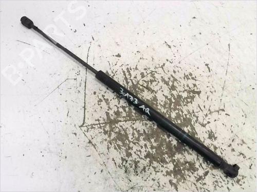 Used Tailgate lift support RENAULT GRAND SCÉNIC II (JM0/1_) 1.5 dCi (JM1E) (106 hp) 31362218