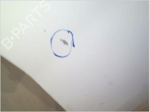 Right front fenders RENAULT TRAFIC II Van (FL) 2.0 dCi 115 (FL01, FL0U, FL00, FL0H, FL0M) | BP29497263C42 