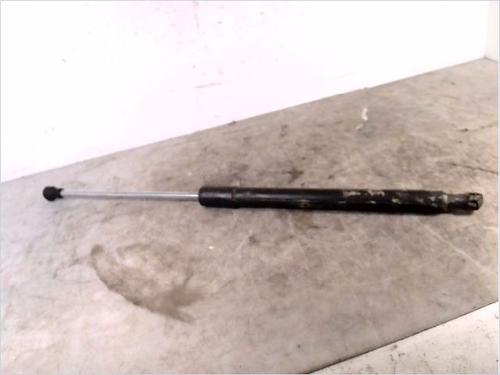Used Tailgate lift support RENAULT CLIO III (BR0/1, CR0/1) 1.2 16V (BR02, BR0J, BR11, CR02, CR0J, CR11) (75 hp) 26104570