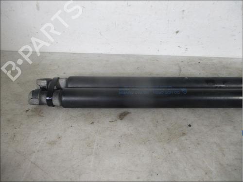 Tailgate lift support FORD KA (RU8) 1.2 | BP26094864C138