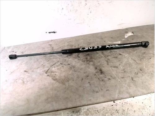 Used Tailgate lift support RENAULT GRAND SCÉNIC II (JM0/1_) 1.9 dCi (JM0G, JM12, JM1G, JM2C) (120 hp) 26106574