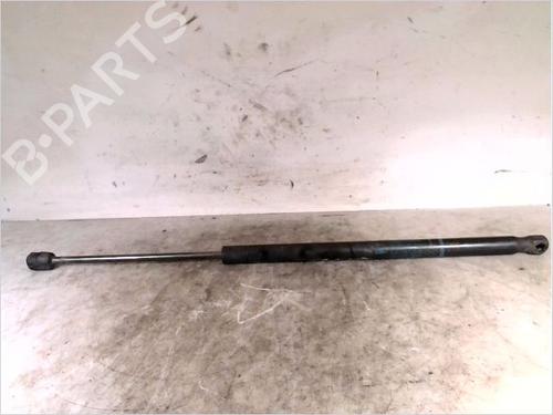 Used Tailgate lift support RENAULT SCÉNIC II (JM0/1_) 1.9 dCi (JM0G, JM12, JM1G, JM2C) (120 hp) 26105893
