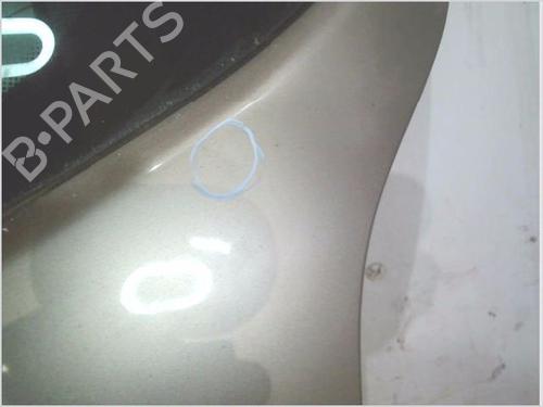 Tailgate RENAULT CLIO III (BR0/1, CR0/1) 1.2 16V (BR0P, CR0P) | BP29560434C6 