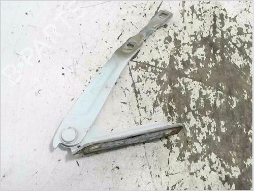 Used Hinge/Door check strap DACIA SANDERO II 1.2 LPG (75 hp) 31905686